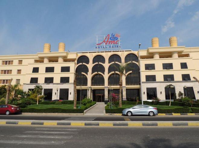 amc royal hotel 5 hurghada 