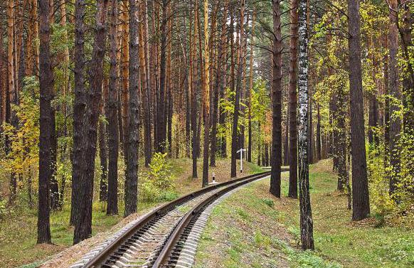 Bezoekt u Novosibirsk? Zaeltsovsky Park verdient speciale aandacht