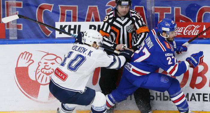 Hockeyspeler Konstantin Volkov: sportprestaties