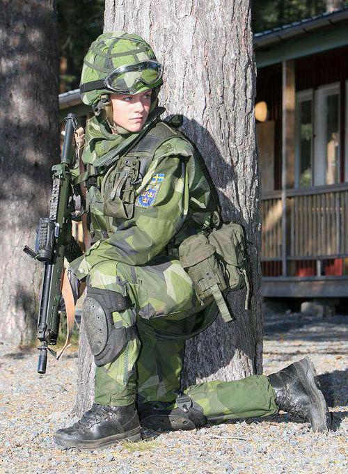leger leger van Zweden